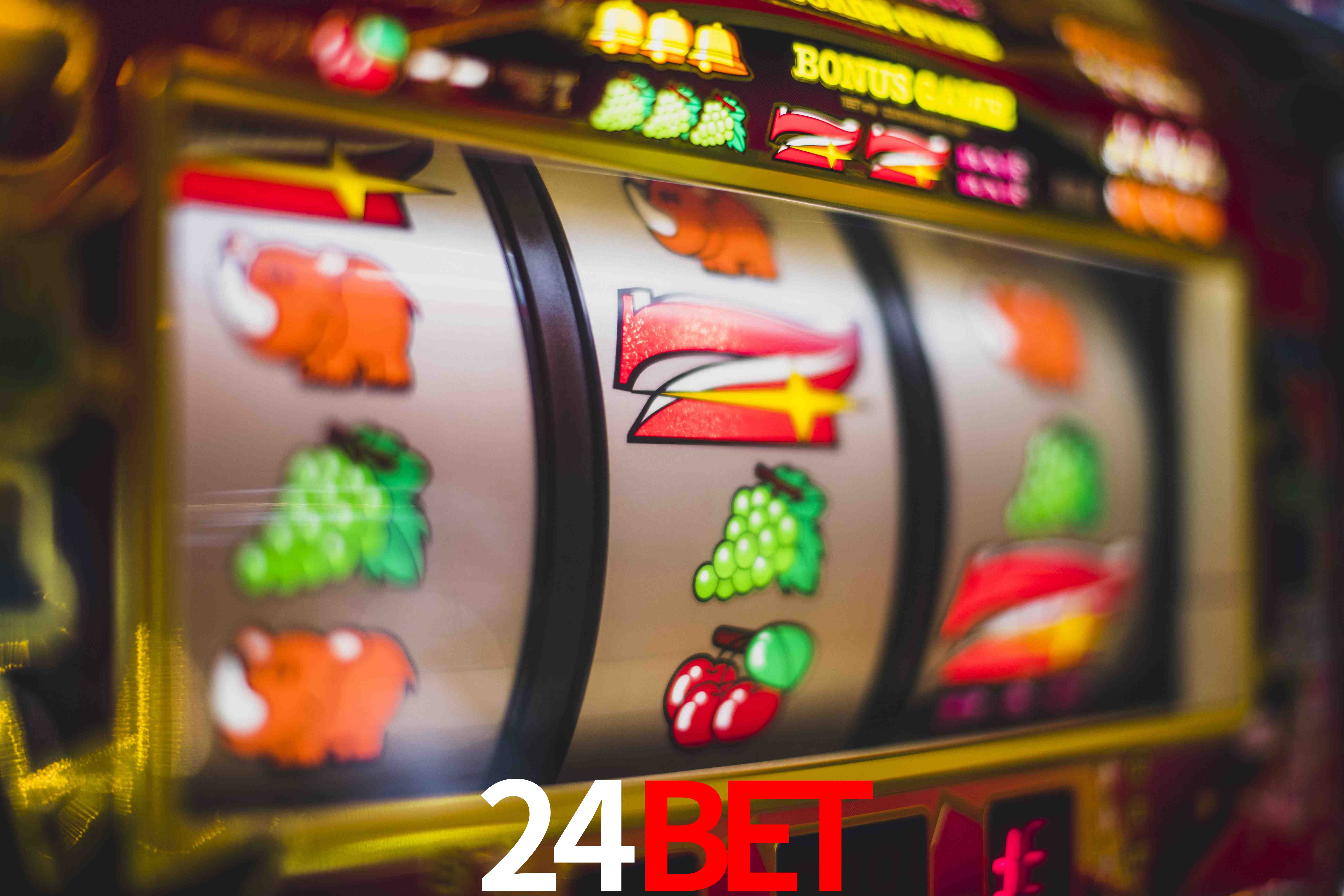 Crash Games Statistics 24bet